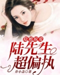 隐婚掠爱:陆先生超偏执