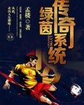 绿茵传奇系统