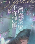 不许觊觎漂亮系统！！
