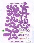 我真没想在洪荒当城主