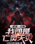 我即是亡灵天灾 小说