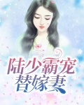 陆少霸宠替嫁妻