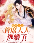 超萌三宝:首席大人逃婚了!