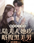 踹掉前夫哥后,陆夫人她攻略腹黑美男