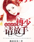 危情虐爱:傅少请放手