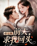 虐完我前夫求我回头