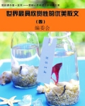 世界最具欣赏性的优美散文 (4)