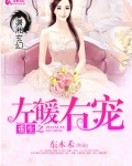 重生之左暖右爱