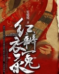 红衣辨冤录