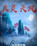 凡人之真灵天凤