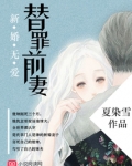 新婚无爱，替罪前妻