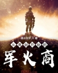 从亮剑开始的军火商