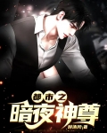 都市之暗夜神尊
