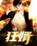 狂婿