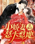 小娇妻怼天怼地怼霸总