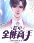  都市全能高手