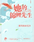 她的锦鲤先生
