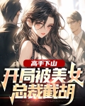 高手下山:开局被美女总裁截胡