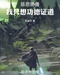 惩恶扬善我只想功德证道