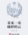 采来一朵破碎的云