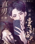 直男我啊，这次弯到临头了！[快穿]