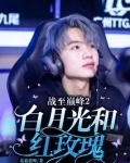 战至巅峰2:白月光和红玫瑰
