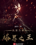 从苦力到塔界之王