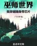 巫师世界,我穿越随身带芯片