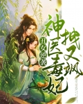 丑女逆袭,神医毒妃拽又飒