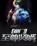 豪门至尊贤婿