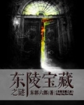 东陵宝藏之谜