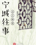宁城往事之三朵花