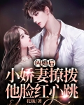 闪婚后,小娇妻撩拨他脸红心跳