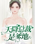 天降总裁是爹地