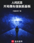 人间武圣,开局拥有强制系面板