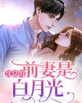 沈总的前妻是白月光