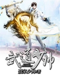 武道少帅