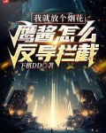 我就放个烟花,鹰酱怎么反导拦截