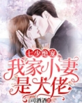 七少绝宠:我家小妻是大佬