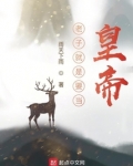 老子就是要当皇帝