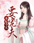 本妃今天要宠夫