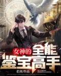 女神的全能鉴宝高手