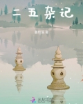 二五杂记