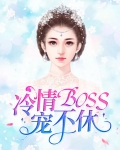 冷情BOSS宠不休
