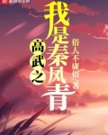 高武之我是秦凤青