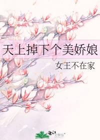 天上掉下个美娇娘讲的什么故事
