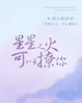 星星之火，可以撩你