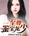 至尊鉴宝龙少