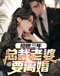 隐世三年，总裁老婆要离婚