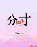 分寸